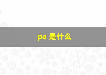 pa 是什么